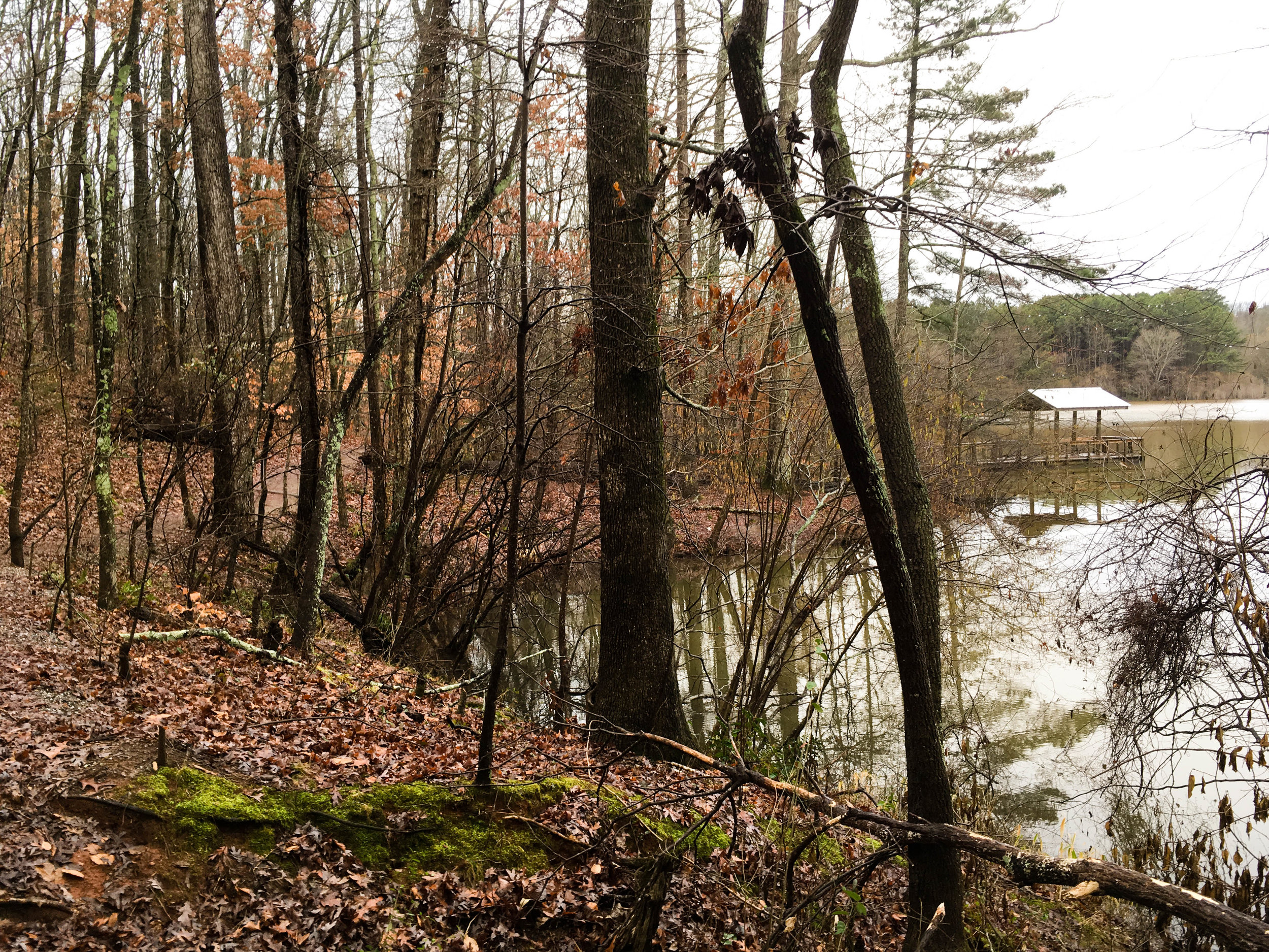 Cherokee forest, athens, georgia ; Day Trips Atlnature