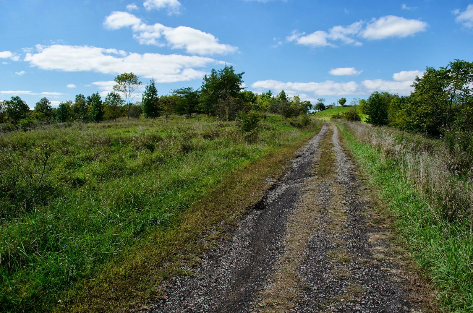 Image It's a reasonably easy trail used for hiking and connects to the athens trail and strouds run state park. On The Subject Of Nature Radar Hill And The Ridges