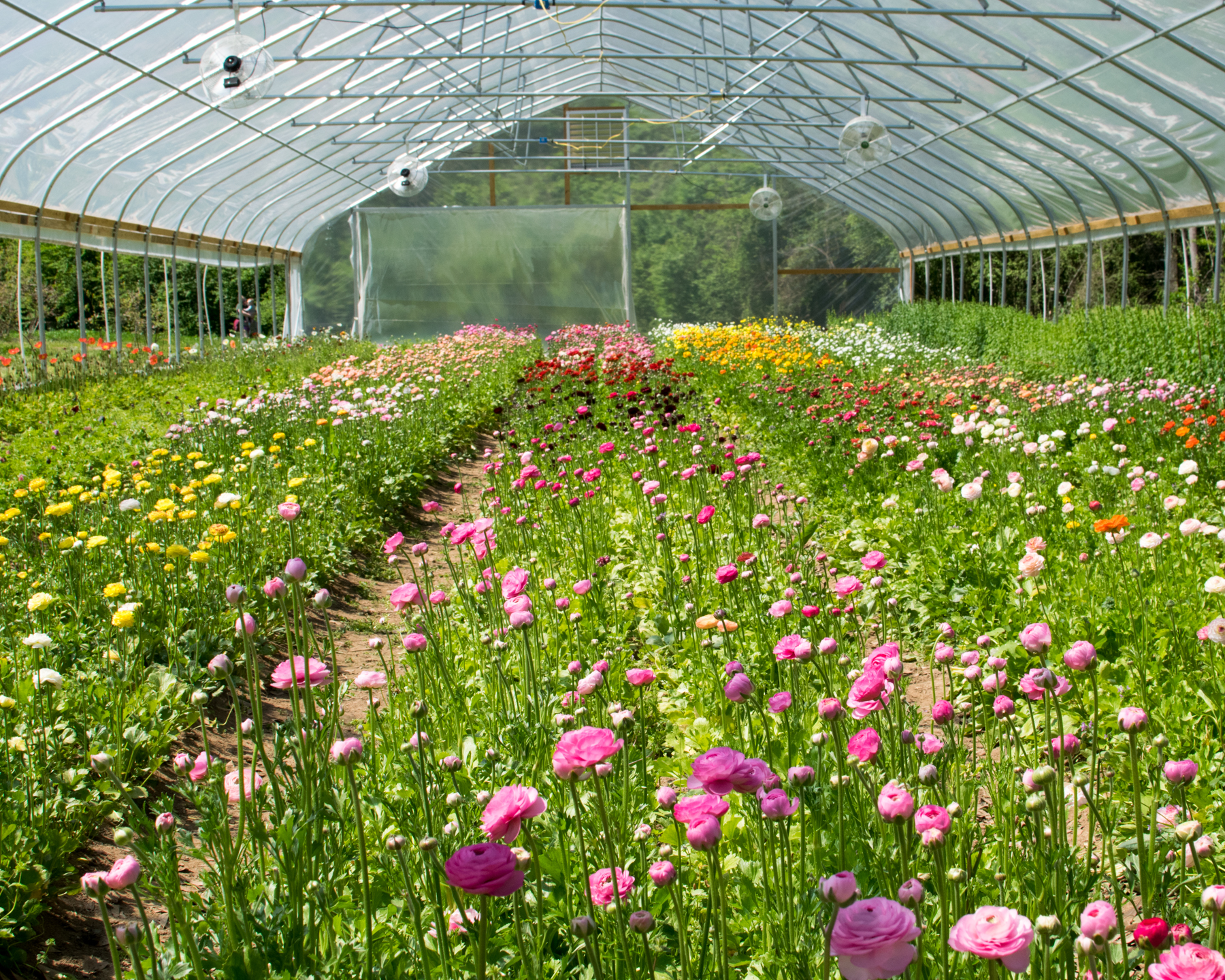 Georgia museum of art · 2. Visiting 3 Porch Farm In Athens Georgia Wearable Planter