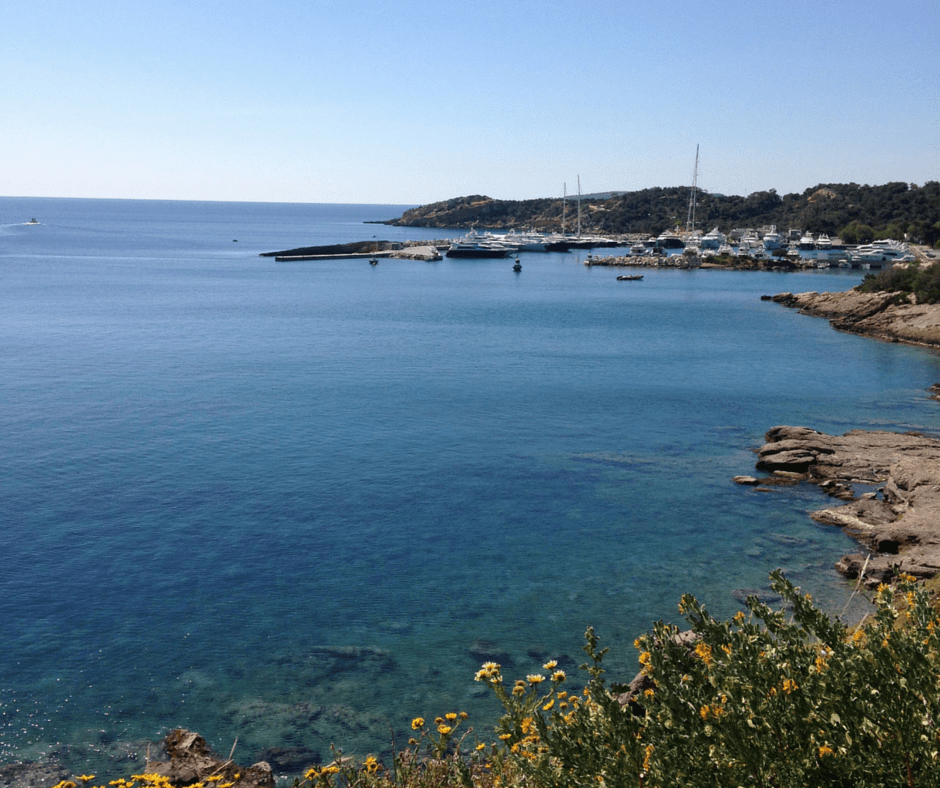 Every two hours from 9:35 a.m. Blog Unique Things To Do Best Tours The Travel Porter The Travelporter