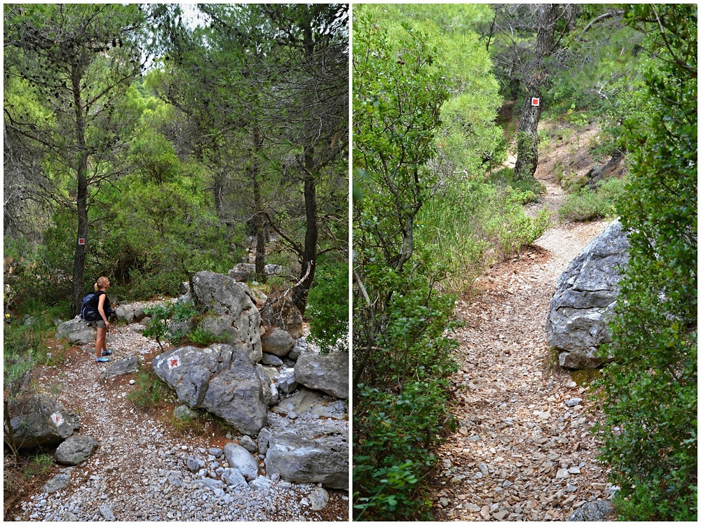 Find out how changing your routine just a little can help you get fit, lose weight and save some cash. Hiking In Athens Or The Next Door Paradise