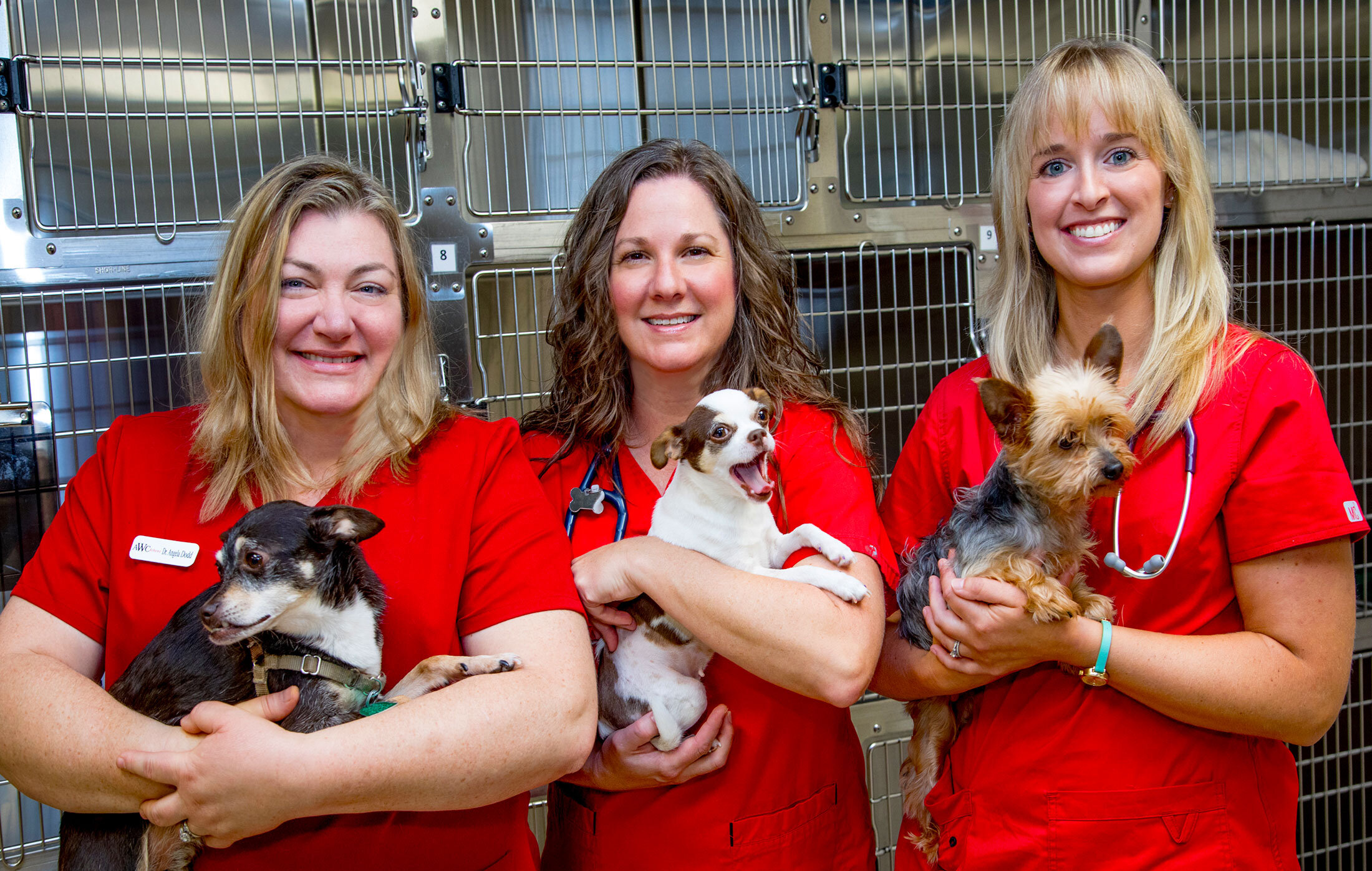 Ask these questions before taking on a project to ensure your relationship with your future clients won’t go sour to revisit this article, visit my profile, then view saved stories. About Awc Athens Animal Wellness Center Of Athens