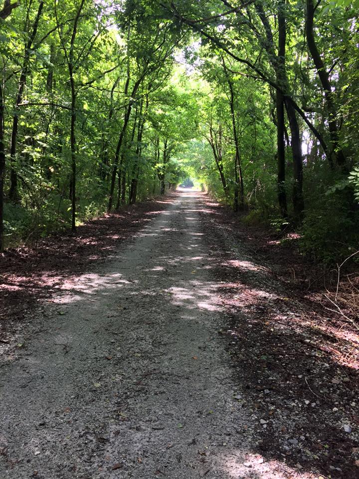 Saturday heritage walks are very informative. Elkmont Alabama Rails To Trail