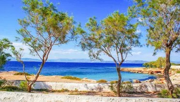 Day Trips From Athens Greece To Islands&nbsp;Package