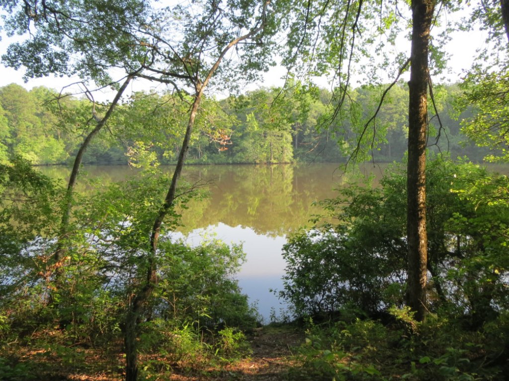 Walking Trails Near Athens&nbsp;Al